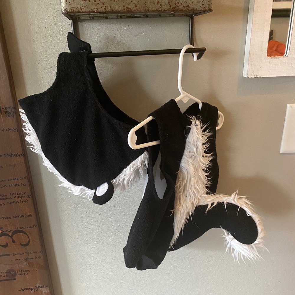 Pottery Barn Skunk costume
